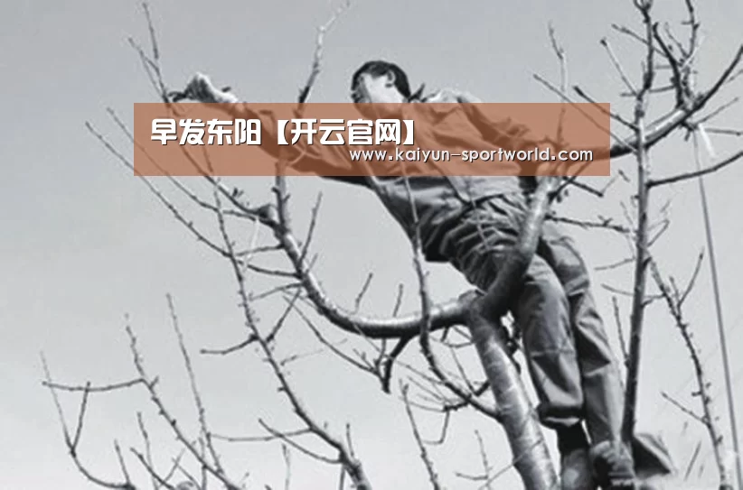 早发东阳【开云官网】
